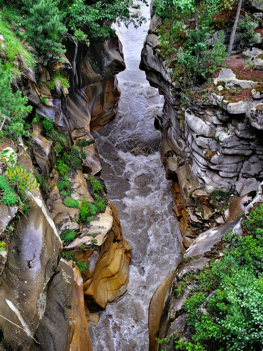 水質(zhì)測定儀 水質(zhì)測定儀